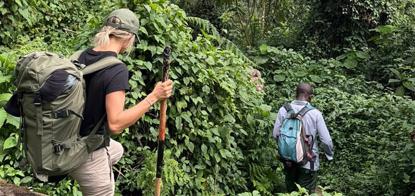 Celebrate your honeymoon with an unforgettable 8-day Uganda safari featuring chimpanzee trekking, gorilla encounters, scenic landscapes, and romantic wilderness experiences.