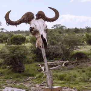 5 Day Kenya Wildlife Safari Masai Mara, Naivasha & Crescent Island