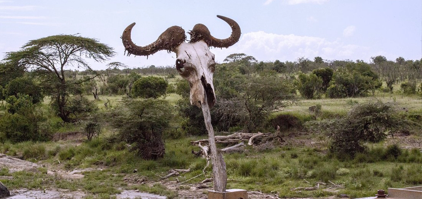 5 Day Kenya Wildlife Safari – Maasai Mara, Lake Naivasha & Crescent Island