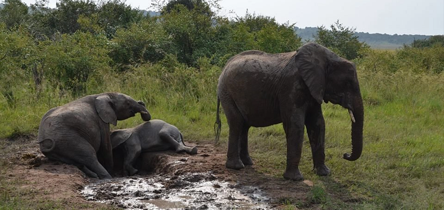 Wildlife and Scenic Views at Lake Naivasha