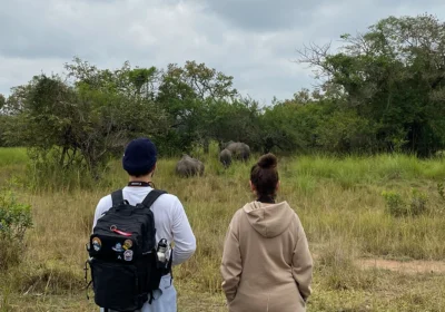 Ziwa Rhino Sanctuary Uganda: The Complete Guide to Rhino Tracking