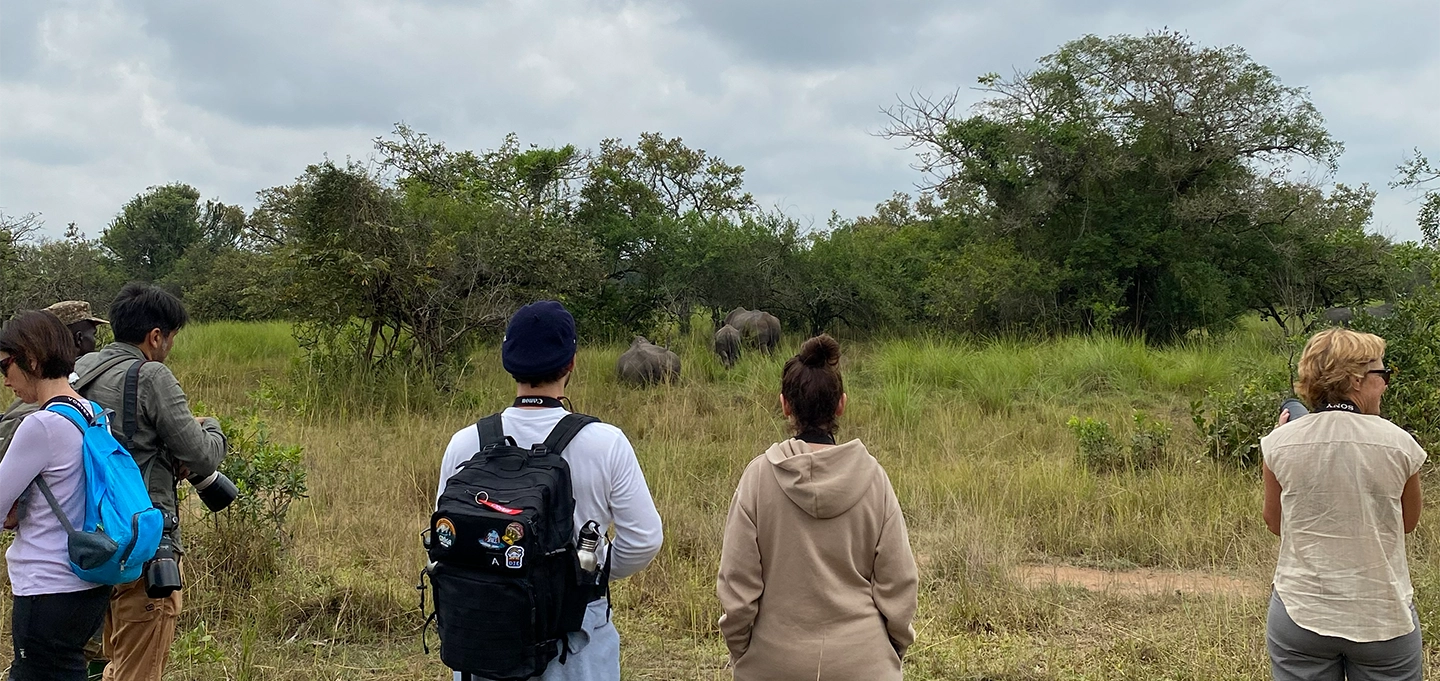 Tourists tracking white rhinos at Ziwa Rhino Sanctuary Uganda, the country's only rhino conservation area and wildlife ranch.