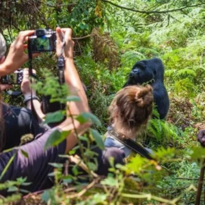 10 Days Uganda Gorilla Trekking & Maasai Mara Safari