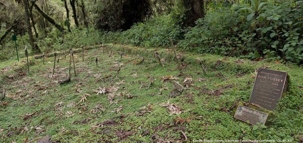 Dian Fossey's grave and gorilla memorial in Rwanda